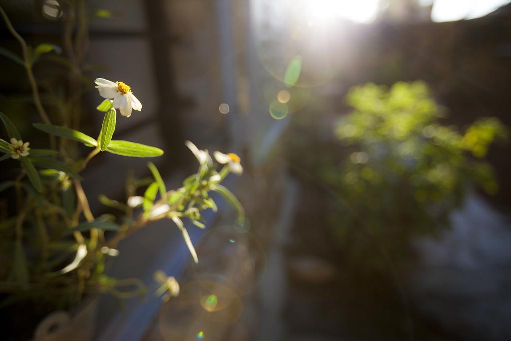 The Nest - A Romantic Vacation Home In Ein Kerem - Иерусалим Экстерьер фото