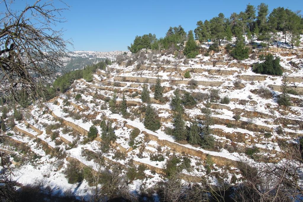 The Nest - A Romantic Vacation Home In Ein Kerem - Иерусалим Экстерьер фото