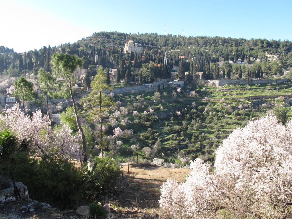 The Nest - A Romantic Vacation Home In Ein Kerem - Иерусалим Экстерьер фото