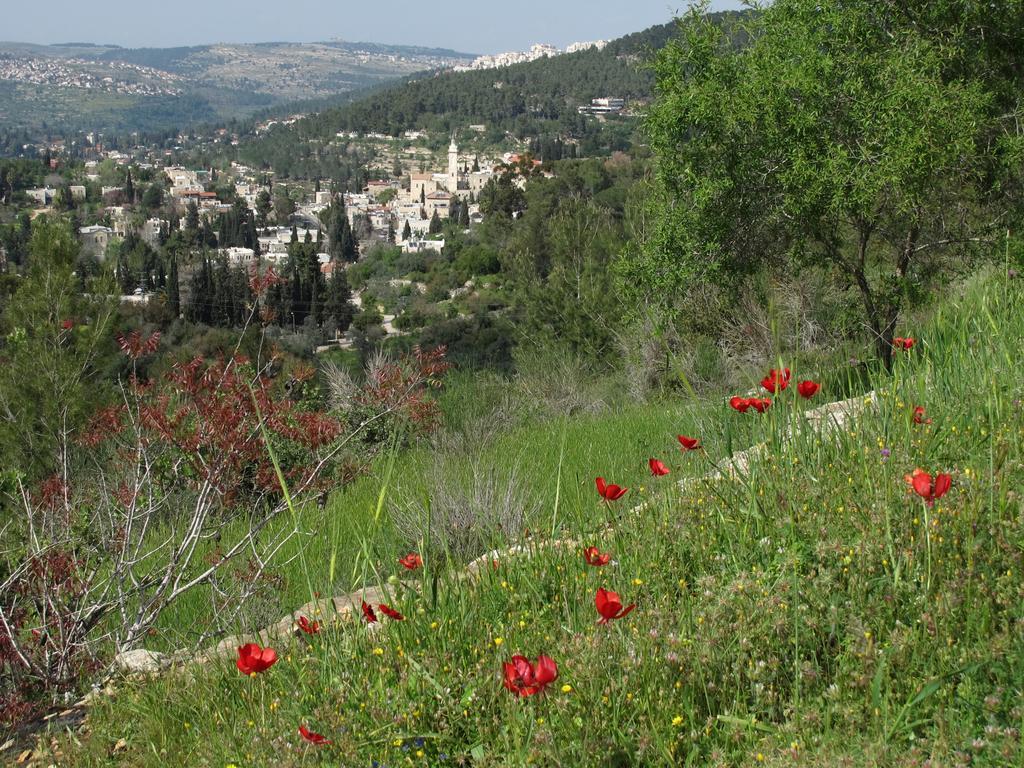 The Nest - A Romantic Vacation Home In Ein Kerem - Иерусалим Экстерьер фото