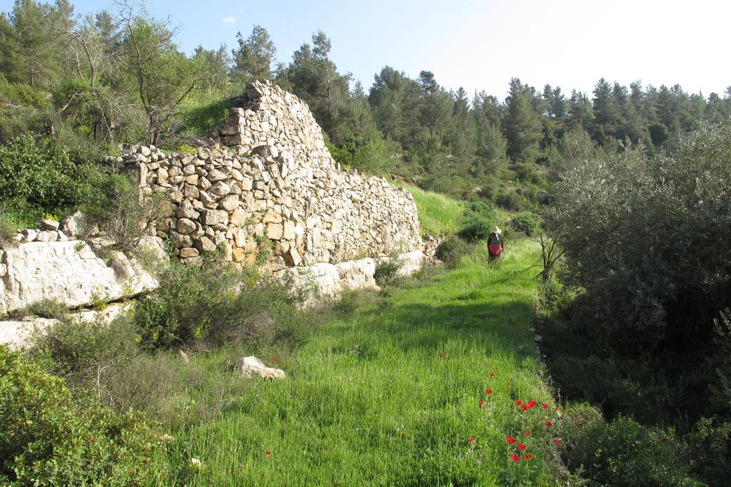 The Nest - A Romantic Vacation Home In Ein Kerem - Иерусалим Экстерьер фото